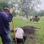 Obras de iluminación en la Plaza Malvinas Argentinas