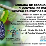 Jornada de reconocimiento y control de especies vegetales exoticas invasoras.