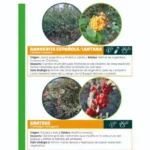 La Comuna impulsa la concientización sobre especies invasoras en el monte serrano