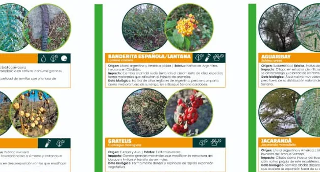 La Comuna impulsa la concientización sobre especies invasoras en el monte serrano