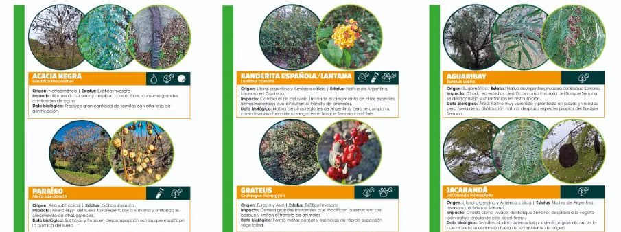 La Comuna impulsa la concientización sobre especies invasoras en el monte serrano